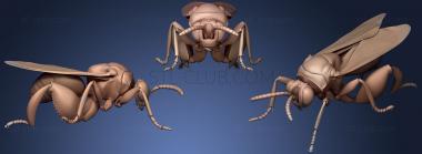 3D модель Жуки-насекомые 7 (STL)